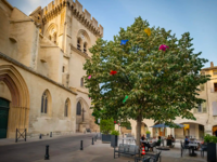 version_200_villeneuve-lez-avignon-les-meilleurs-concierges-conciergerie-airbnb-conciergerie-location-courte-duree-gestion-locative